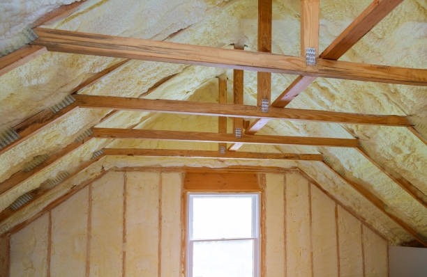 Best Insulation Repair Services  in Augusta, WI